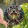 Nature & Art Lovers' Vintage Stained Glass Lantern Red Berries Pinecones Snowy Forest Art Stained Glass Suncatcher - 1