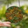 Nature Lovers' Emerald Green Turquoise Golden Yellow Stained Glass Oak Branch Acorn Mosaic Art Stained Glass Suncatcher - 6qZv7EwE0x