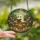 Whimsical Art Lovers' Intricate Tiffany Stained Glass Ghost Reading in Teacup, Floral Botanical Garden Mosaic, Jewel Tones Stained Glass Suncatcher - 2