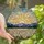 Art Lovers' Intricate Stained Glass Lilies Golden Sunset Mountain Mosaic Art Stained Glass Suncatcher - 28ejftgTkM