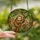 Nature Lovers' Smiling Sloth Stained Glass Amber Green Red Blue Tropical Mosaic Stained Glass Suncatcher - jJprjtYCut