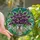 Art Lovers' Vibrant Tiffany Stained Glass Lilac Starburst Bouquet Emerald Green Blue Jewel Tone Mosaic Stained Glass Suncatcher - vxl0k3YVAj