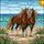duiyfppz/products/693ab311ce803c48da7ef2a4/gallery/0_qX7Ehosc
