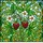duiyfppz/products/693ab4293a6b1247930fd423/gallery/tr1LhrFhoQ