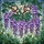 Art Lovers' Intricate Tiffany Stained Glass Wisteria Bloom Jewel Tone Floral Mosaic Stained Glass Suncatcher - 7