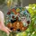 Halloween Lovers' Tiffany Style Stained Glass Whimsical Pumpkins Gourds Mosaic Teal Orange Black Stained Glass Suncatcher - 1