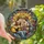 Art Lovers' Detailed Tiffany Stained Glass Serenade: Romantic Couple, Acoustic Guitar, Radiant Sunburst, Jewel Tones Stained Glass Suncatcher - 43T40z514K