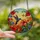 Nature Lovers' Vibrant Tiffany Stained Glass Hummingbird Hibiscus Garden Blue Red Orange Mosaic Stained Glass Suncatcher - 2