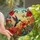Nature Lovers' Vibrant Tiffany Stained Glass Hummingbird Hibiscus Garden Blue Red Orange Mosaic Stained Glass Suncatcher - 1