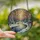 Nature Lovers' Tiffany Style Snowy River Winter Forest Jewel Tones Blue White Amber Lavender Brown Stained Glass Suncatcher - YgNfcGrAbA