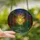 Nature Art Lovers' Radiant Yellow-Orange Sun Stained Glass Redwood Forest Mosaic with Jewel Tones Stained Glass Suncatcher - 2