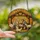 Holiday Reverence Art Lovers' Intricate Stained Glass Nativity, Mary Joseph Jesus, Golden Orange Glow Stained Glass Suncatcher - 2
