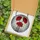 Art Lovers' Edge-to-Edge Vibrant Red Poppy Stained Glass Floral Mosaic with Rippled Clear Glass Stained Glass Suncatcher - D4-xfQsgeu