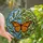 Monarch Butterfly Art Lovers' Tiffany Style Orange Black Stained Glass Nature Mosaic Stained Glass Suncatcher - 1