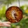 Wildlife Art Lovers' Jewel Tone Stained Glass Barn Owl Pink Wing Autumnal Forest Mosaic Stained Glass Suncatcher - 2