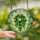 Plant Lovers' Vibrant Stained Glass Cascading Houseplant Design, Tiffany Style Jewel Tones Green Blue Yellow Stained Glass Suncatcher - 2