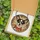 Chihuahua Lovers' Intricate Tiffany Stained Glass Head Amber Brown Red-Orange Glowing Jewel Tones Mosaic Stained Glass Suncatcher - 5