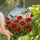 Nature Lovers' Intricate Tiffany Stained Glass Red Poppies Dragonflies Meadow Art Stained Glass Suncatcher - Zgqhv6G1MX