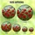 Nature Lovers' Intricate Tiffany Stained Glass Red Poppies Dragonflies Meadow Art Stained Glass Suncatcher - pBjOLjQek3