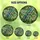 Nature Lovers' Iridescent Feather Tiffany Stained Glass Teal Violet Green Foliage Mosaic Stained Glass Suncatcher - sc_sR1xR2R