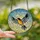 Nature Lovers' Vibrant Tiffany Stained Glass Songbird Orange Black Blue-Grey Mosaic Dappled Sky Stained Glass Suncatcher - 2