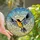 Nature Lovers' Vibrant Tiffany Stained Glass Songbird Orange Black Blue-Grey Mosaic Dappled Sky Stained Glass Suncatcher - 1