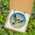 Nature Lovers' Vibrant Tiffany Stained Glass Songbird Orange Black Blue-Grey Mosaic Dappled Sky Stained Glass Suncatcher - 5