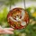 Nature Lovers' Intricate Tiffany Stained Glass White Cardinal Flight Floral Mosaic Red Orange Cream Stained Glass Suncatcher - 2