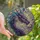 Fantasy Lovers' Majestic Dragon Head Tiffany Stained Glass Art, Intricate Violet Teal Blue Lavender Beige Jewel Tones with Swirling Patterns Stained Glass Suncatcher - 1