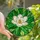 Nature Lovers' Tiffany Stained Glass White Magnolia Emerald Green Botanical Mosaic Stained Glass Suncatcher - 1