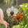 Nature Lovers' Vibrant Stained Glass Orchid Floral Mosaic Jewel Tones Amber Orange Teal Stained Glass Suncatcher - 1