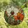 Nature Lovers' Vibrant Stained Glass Orchid Floral Mosaic Jewel Tones Amber Orange Teal Stained Glass Suncatcher - 4