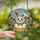 Whimsical Art Lovers' Tiffany Stained Glass Intricate Spring Bunny Red Yellow Polka Dot Floral Meadow Stained Glass Suncatcher - 2