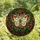 Art Lovers' Tiffany Stained Glass White Orange Butterfly Ruby Red Berries Emerald Green Vines Intricate Mosaic Stained Glass Suncatcher - 4
