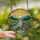 Cat Lovers' Nature Enthusiast Intricate Stained Glass Tabby Cat Wildflower Mountain Sunrise Jewel Tones Stained Glass Suncatcher - hnz8aSaPFB