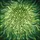 Nature Lovers' Tiffany Style Emerald Green Succulent Stained Glass Art Swirling Cloud Mosaic Stained Glass Suncatcher - 7