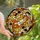 Cat Lovers' Vibrant Orange White Stained Glass Geometric Mosaic Art Jewel Tones Stained Glass Suncatcher - 1