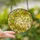 Nature Lovers' Vibrant Stained Glass Autumn Leaves Garland Mosaic Design Stained Glass Suncatcher - 2
