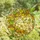 Nature Lovers' Vibrant Stained Glass Autumn Leaves Garland Mosaic Design Stained Glass Suncatcher - 4