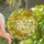 Nature Lovers' Vibrant Stained Glass Autumn Leaves Garland Mosaic Design Stained Glass Suncatcher - 1