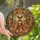 Nature Lovers' Intricate Stained Glass Deer Family Forest Tiffany Pattern Amber Brown Jewel Tones Stained Glass Suncatcher - 1