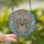 Intricate Design Enthusiasts' Stained Glass Sugar Skull Floral Wreath Pastel Jewel Tone Mosaic Stained Glass Suncatcher - 2