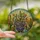 Plant Lovers' Vibrant Tiffany Stained Glass Flowering Cacti Succulent Mosaic Jewel Tones Stained Glass Suncatcher - MCjxZehdtO