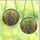Plant Lovers' Vibrant Tiffany Stained Glass Flowering Cacti Succulent Mosaic Jewel Tones Stained Glass Suncatcher - ME79Mw779V