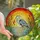 Nature Lovers' Intricate Great Blue Heron Jewel Tone Stained Glass Sunset Stained Glass Suncatcher - 1