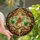 Fantasy Art Lovers' Tiffany Style Stained Glass Fairy Amber Hair Emerald Green Forest Mosaic Stained Glass Suncatcher - EeHIa1Glay