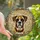 Boxer Dog Lovers' Intricate Stained Glass Boxer Portrait Fawn Amber Blue Swirls Stained Glass Suncatcher - 1