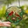 Nature Lovers' Tiffany Style Glowing Stained Glass Cardinals Nest Mosaic Fiery Red Orange Green Cream Stained Glass Suncatcher - 2