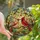 Nature Lovers' Vibrant Stained Glass Cardinal Pair Feeding Berries, Tiffany Style Intricate Mosaic Garden, Jewel Tones Stained Glass Suncatcher - Z9MG5yOjeI