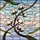 Art & Nature Lovers' Tiffany Stained Glass Cotton Bolls & Sky Mosaic Jewel Tone Design Stained Glass Suncatcher - 7
